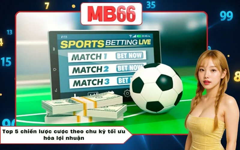 Top 5 chiến lược cược theo chu kỳ tối ưu hóa lợi nhuận